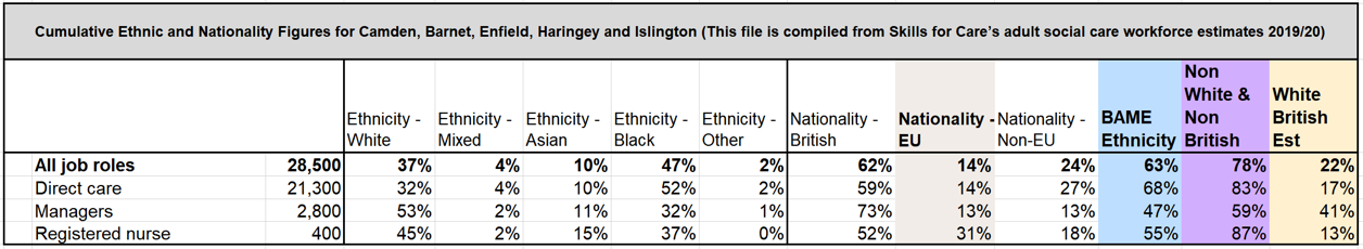 Workforce ethnicity data